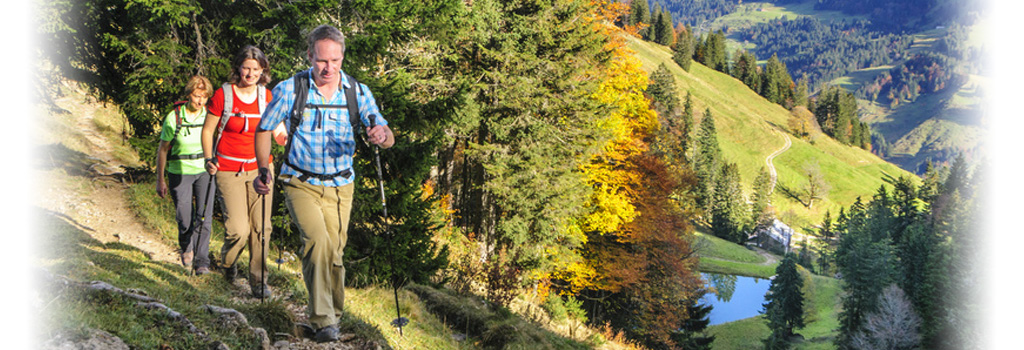 Hamburger Wanderverein Visual