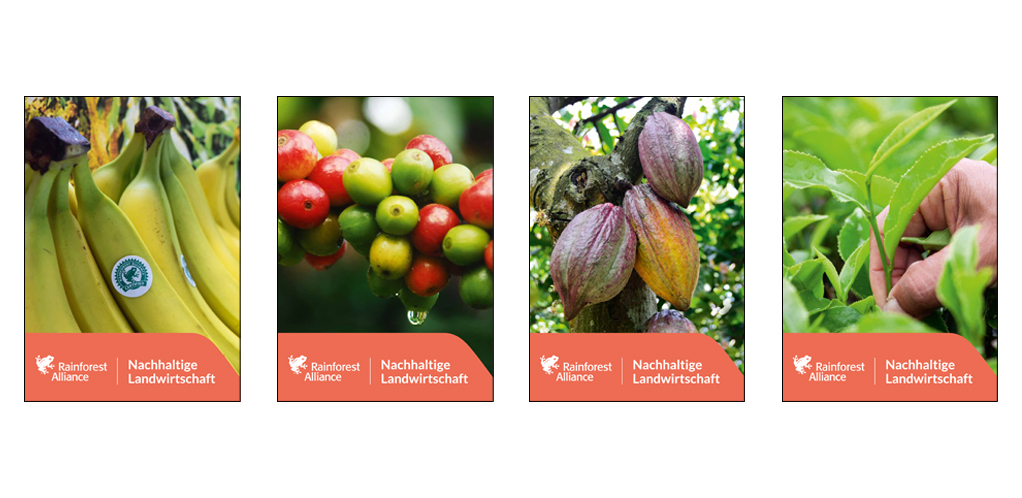 Rainforest Alliance Übersicht Faltblätter „Nachhaltige Landwirtschaft“